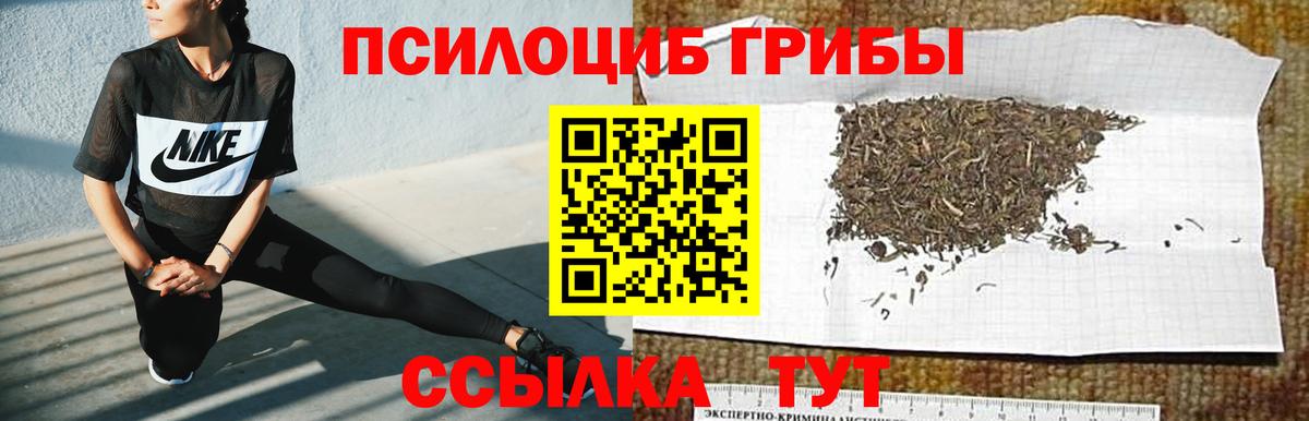 Богородицк  Псилоцибиновые грибы Psilocybe  Вход с VPN  Псилоцибиновые грибы Psilocybine cubensis 