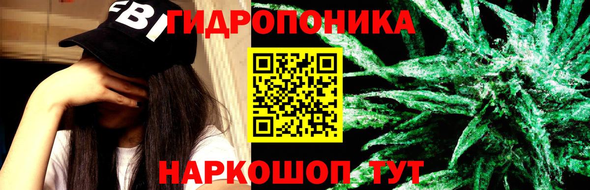 Шишки марихуана планчик  Вход с VPN  Богородицк  МАРИХУАНА гибрид  Шишки марихуана конопля 